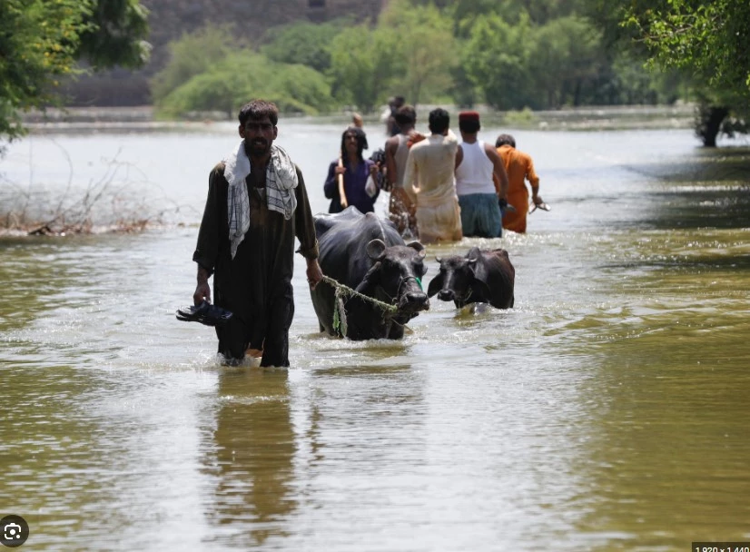 Rivers swell as monsoon rains continue to lash cities across Pakistan