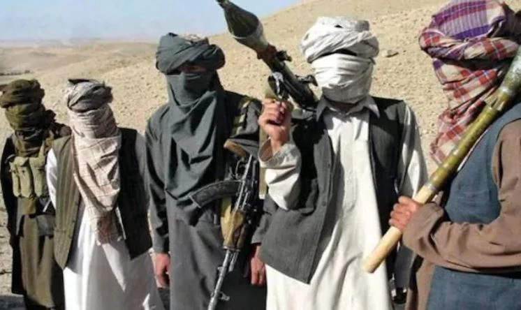 TTP eyeing merger with Al Qaeda to expand reach: says UN report