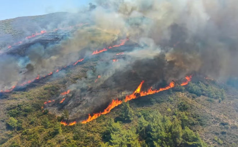 Greek ecosystems face increasing fire risk, experts say