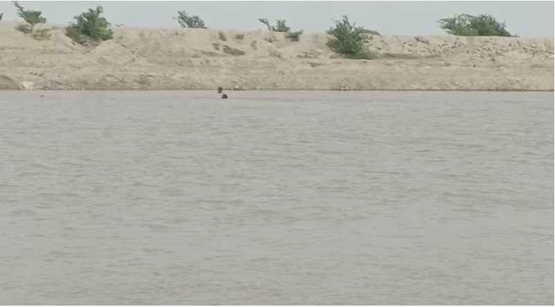 Two boys drown in Sehwan Sharif