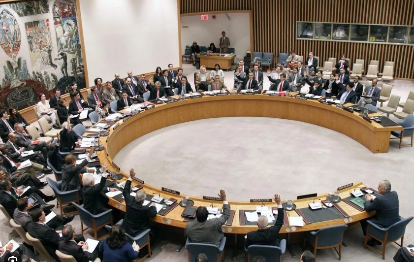 UN Security Council strongly condemns Bajaur suicide attack