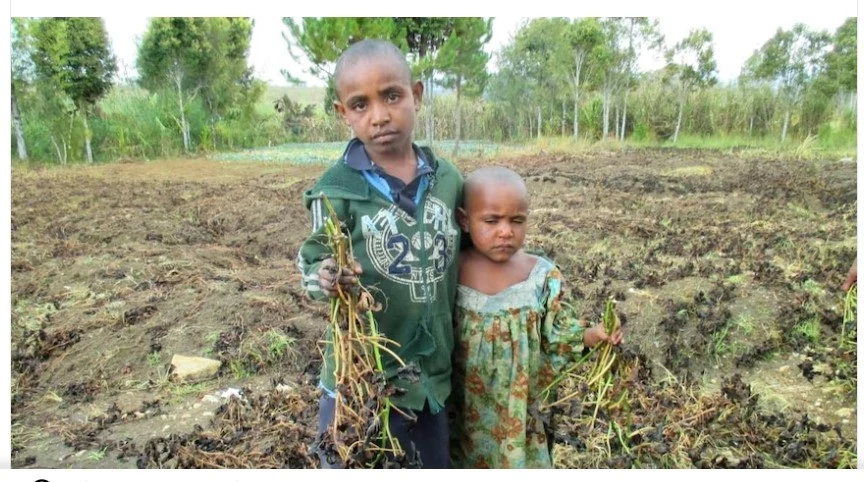 Indonesia sends emergency aid to Papua as drought kills 6