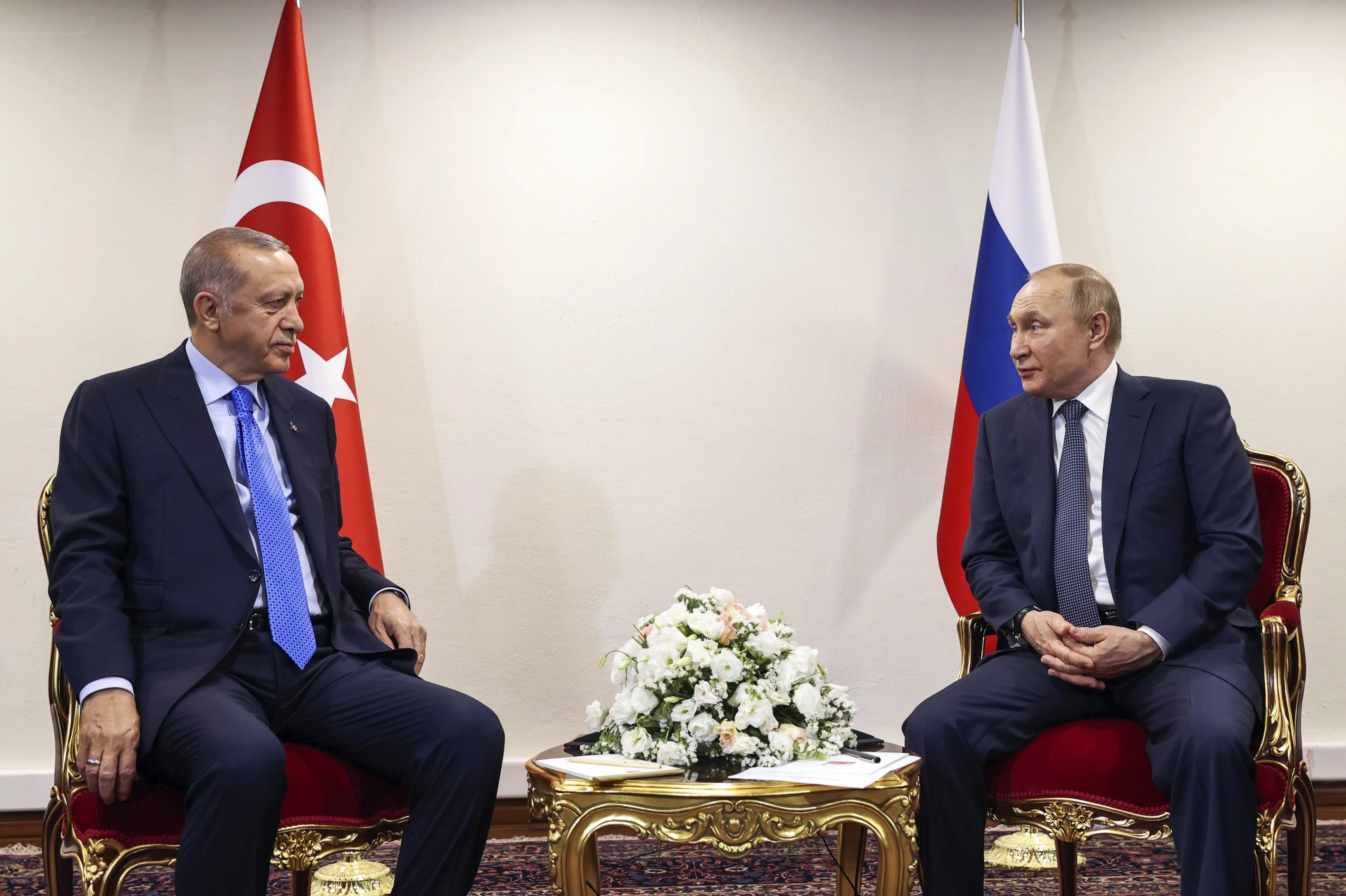 Putin asks Erdogan to help export Russian grain to Africa: Kremlin