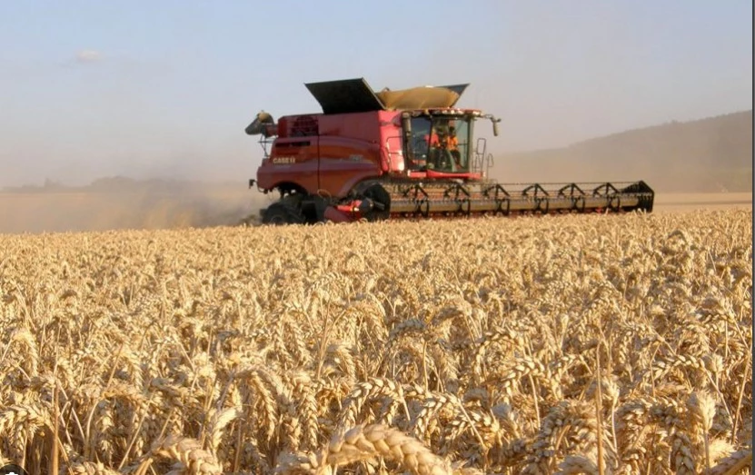 Australia drops China barley case at WTO