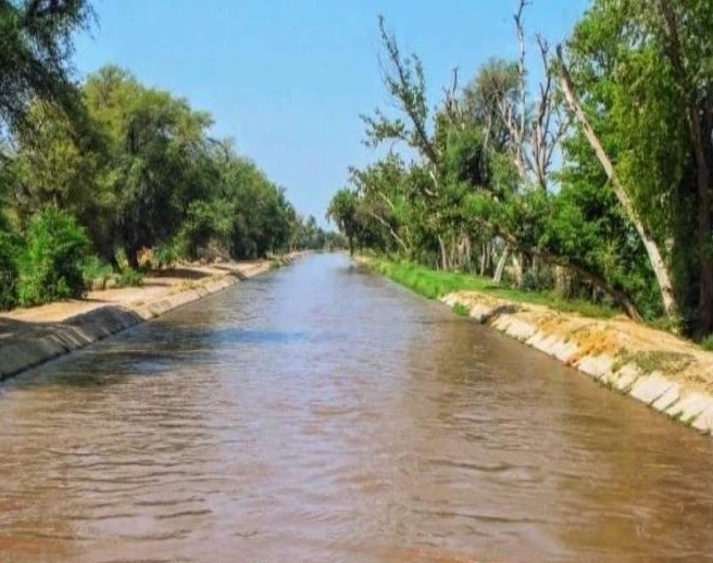 Abducted doctor found murdered in Jhang canal