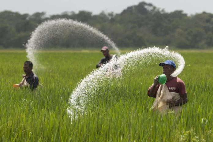 Cabinet approves formation of new board for National Fertilizer Corporation