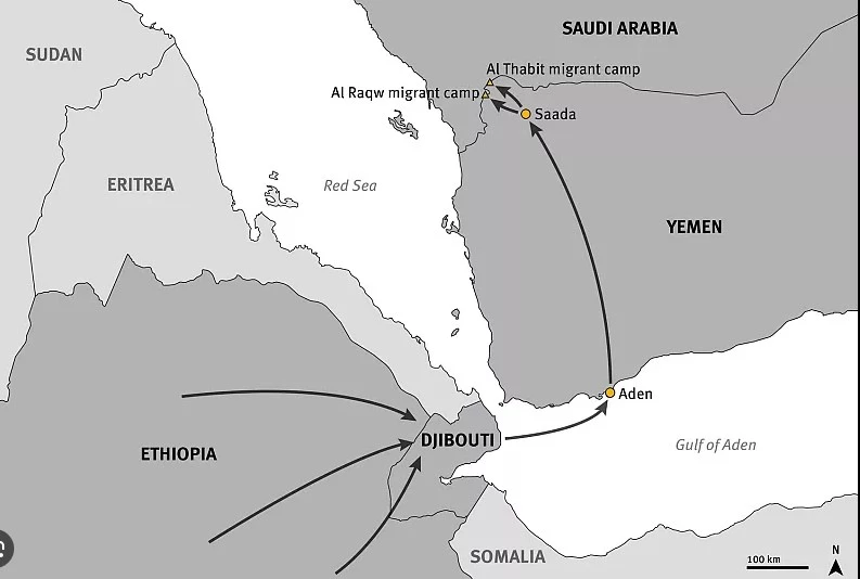 Saudi border guards kill hundreds of Ethiopian migrants: HRW