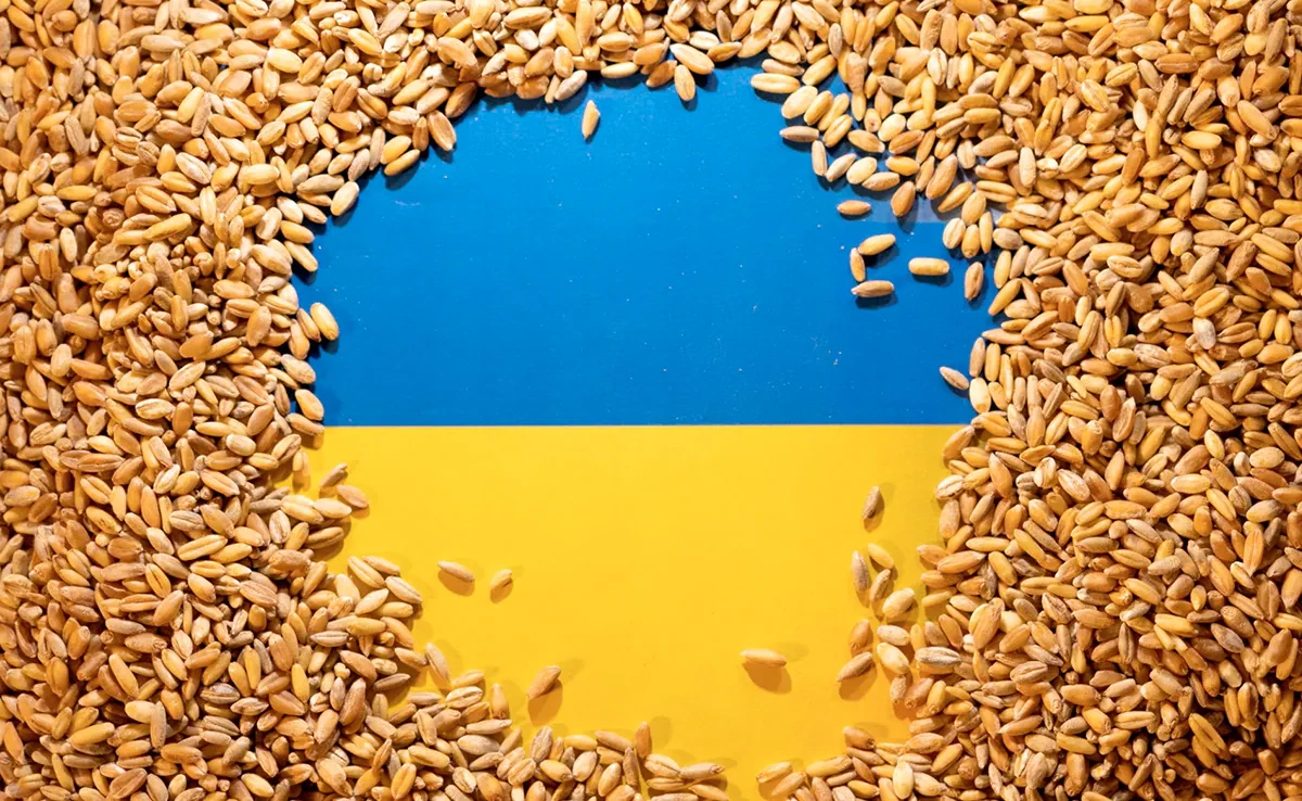 Russia destroyed 270,000 tonnes of grain in month: Kyiv