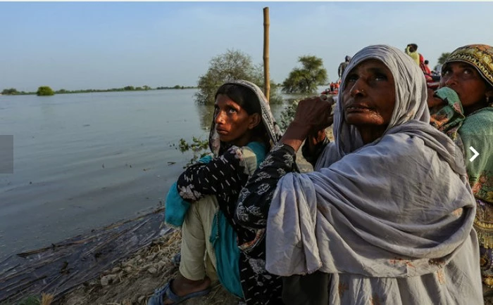 Widespread destruction caused as India releases water into River Sutlej