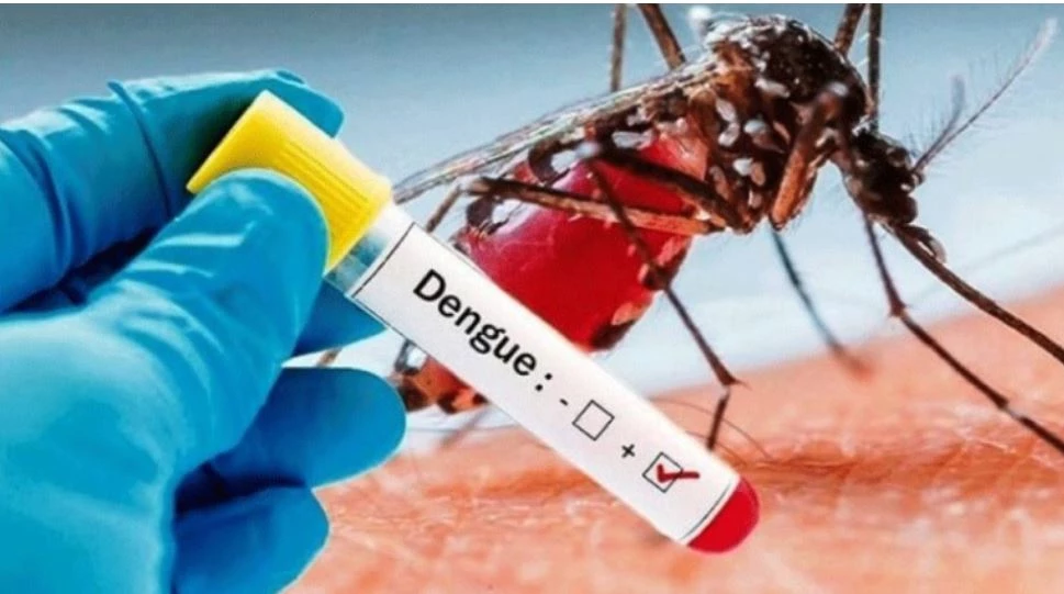 Dengue cases on the rise in Lahore