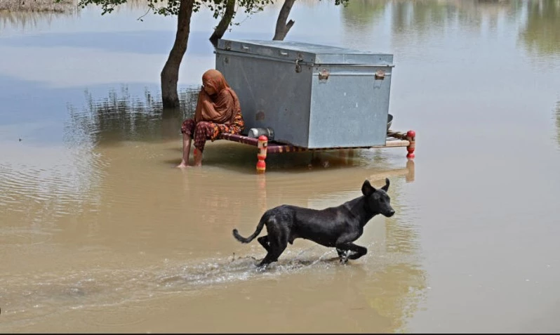 Floods drown hope in impoverished Punjab villages