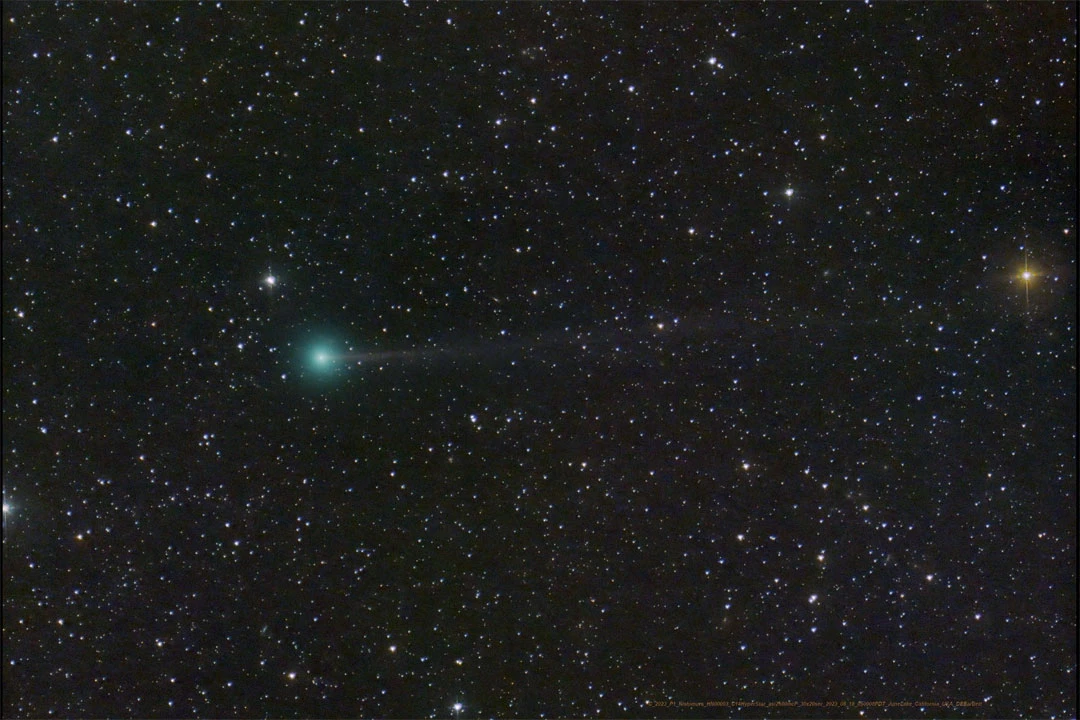 Newly discovered comet visible in night sky this weekend