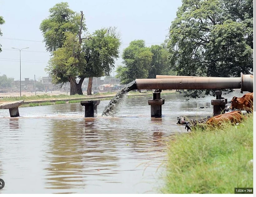 Breach in Thal Canal at Bhakkar floods cotton crop