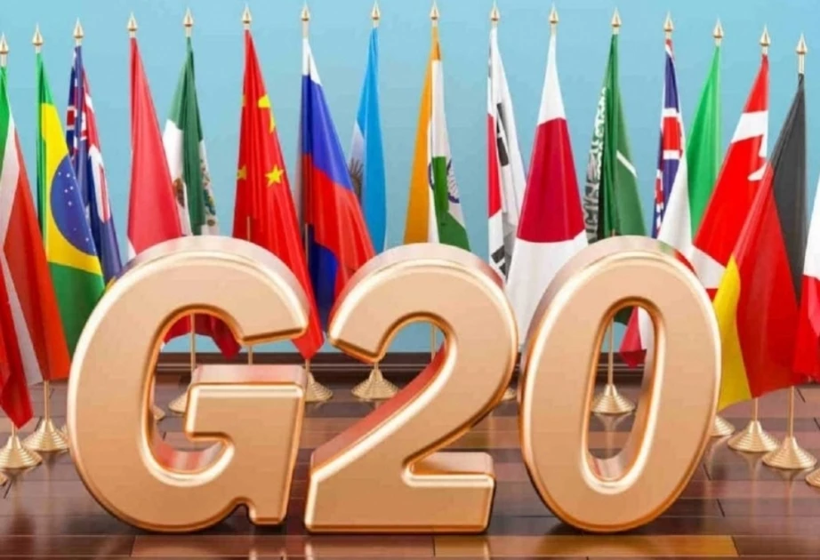 G20 gathers in India, without China's Xi