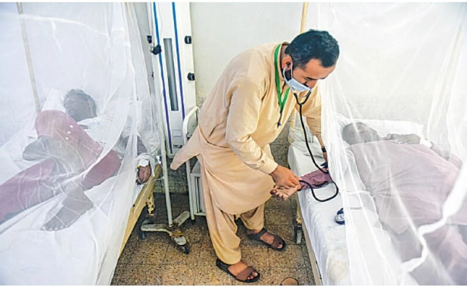 Big surge in malaria, dengue cases in Sindh