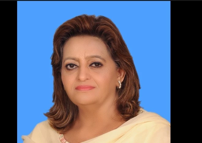 Court releases PTI ex-MNA Rubina Jamil in Jinnah House attack case