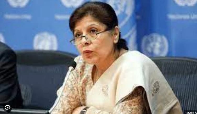 Privatisation portfolio withdrawn from Dr Shamshad Akhtar