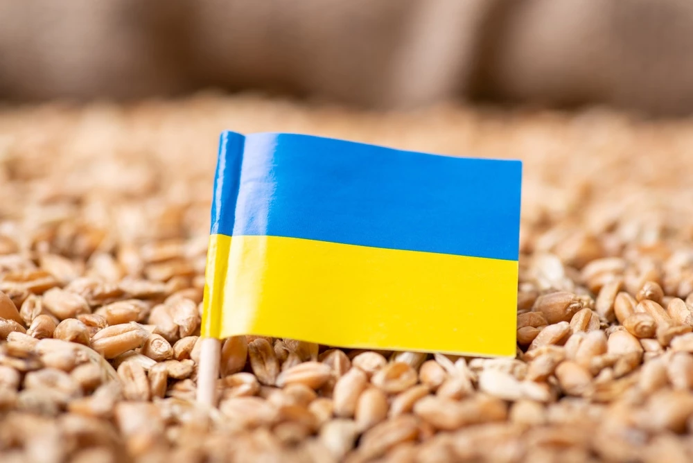 EU ends import bans on Ukraine grain