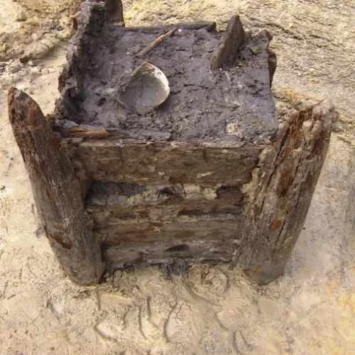 World's oldest wooden structure discovered in Zambia