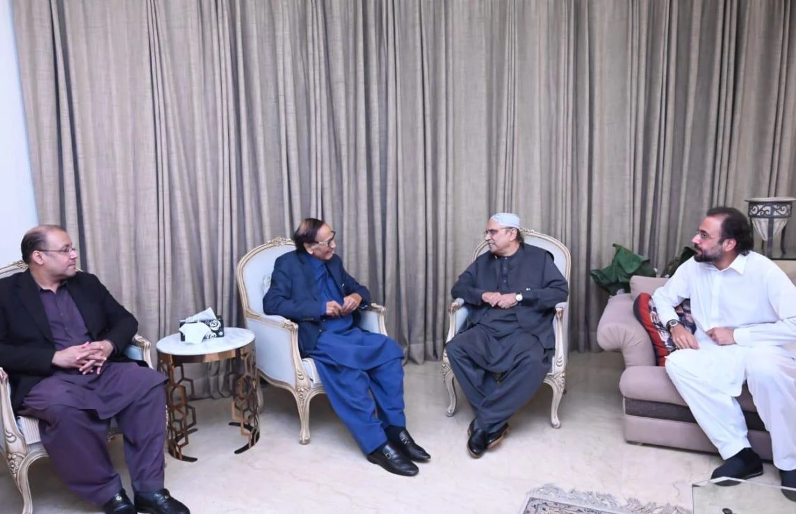 Former president Zardari meets ex-PM Shujaat  