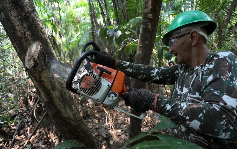 Tree-hugging AI to the rescue of Brazilian Amazon