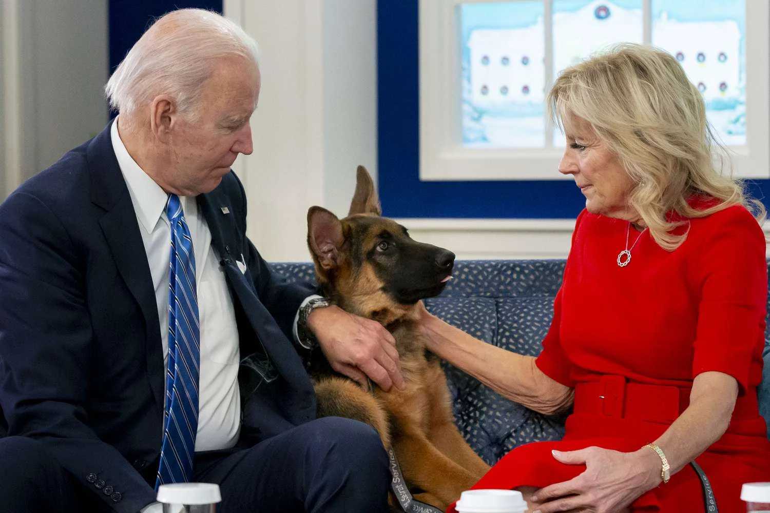 Commander in teeth: Biden dog nips another Secret Service agent