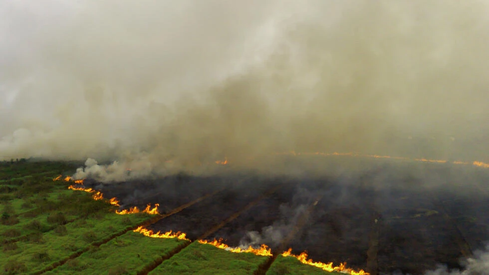 Indonesian city closes schools over peatland fire haze