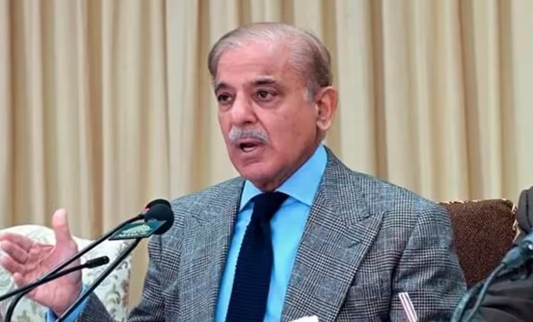 Shehbaz Sharif launches vigorous mass-contact campaign from today