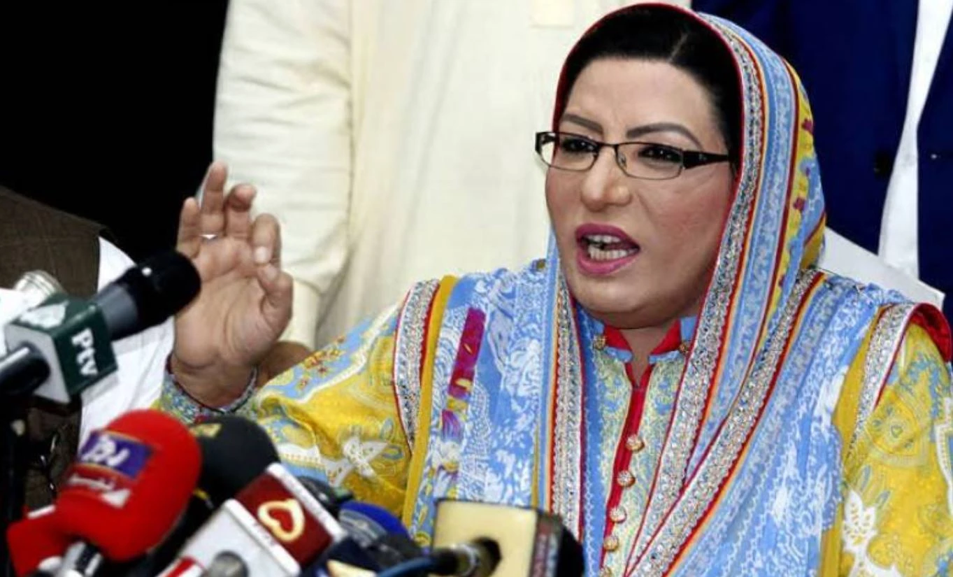 IPP to challenge lists of new constituencies: Firdous