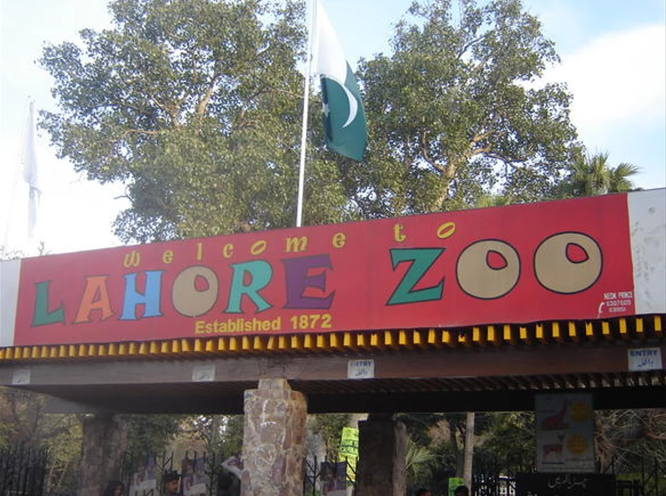 Lahore Zoo upgrade budget gets ECP's nod