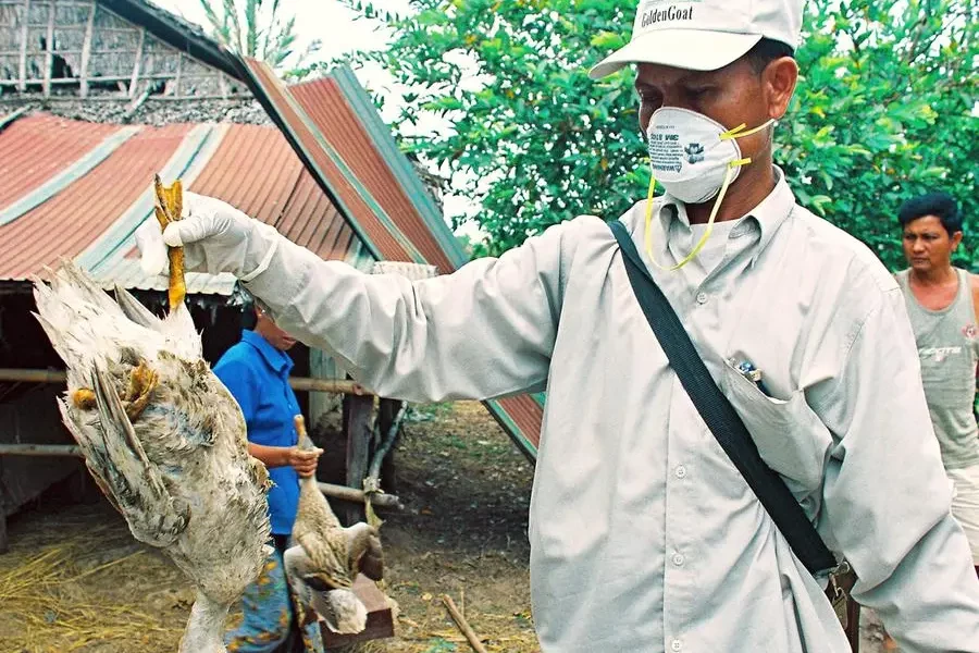 Two-year-old Cambodian girl dies from bird flu