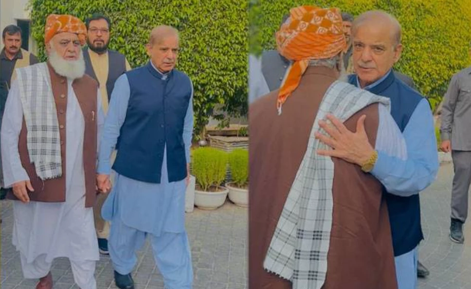 Fazlur Rahman meets Shehbaz Sharif in Lahore