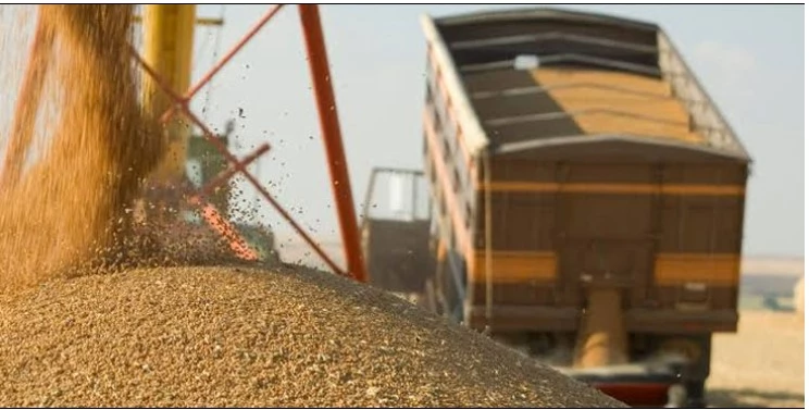 Transporters halt wheat supply from Karachi port after Axle Load implementation