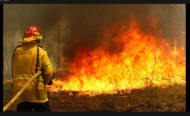 Man dies as dozens of bushfires rage across Australia