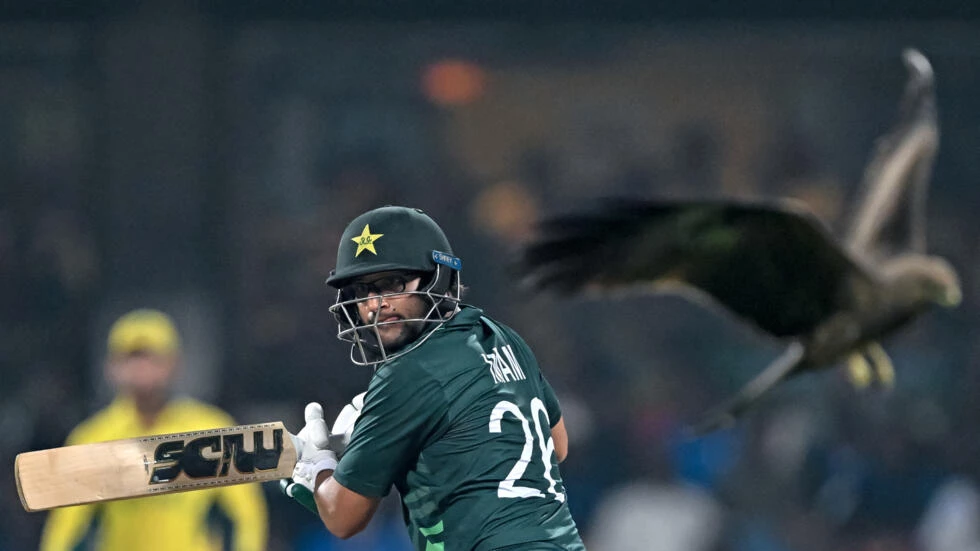 Pakistan inspired by Anwar's Chennai magic at World Cup