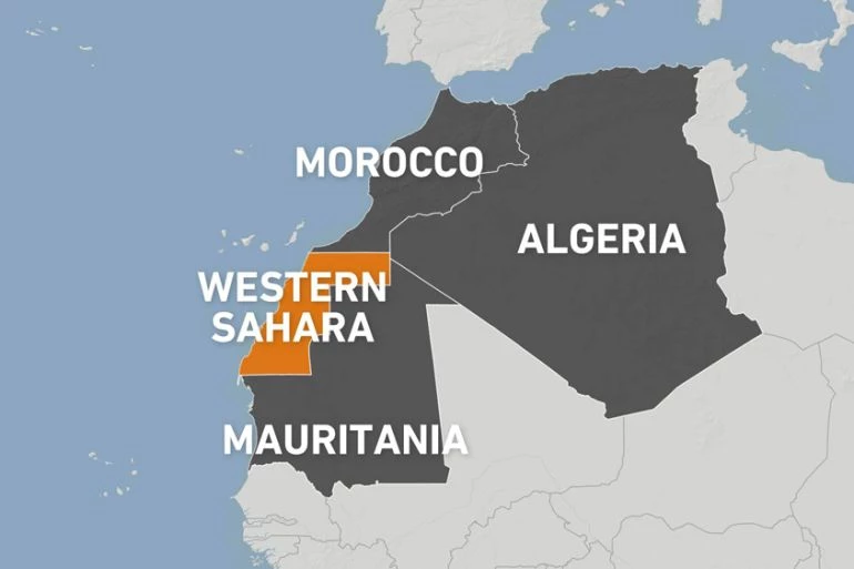 Two migrants found dead off Western Sahara: Moroccan military source