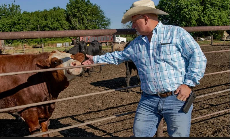 Drought and shrinking herds push US beef prices through the roof