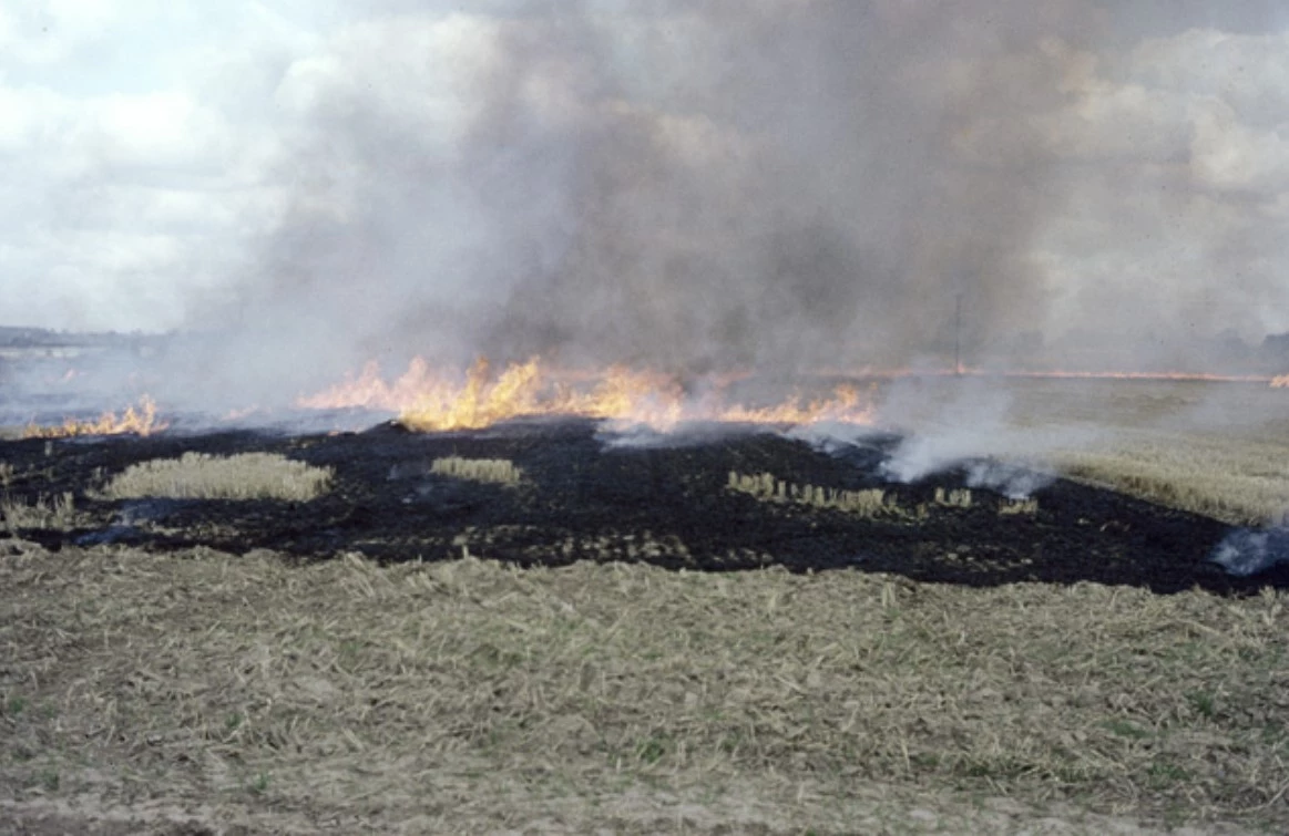 NASA report exposes alarming 740% surge in stubble burning in Indian Punjab