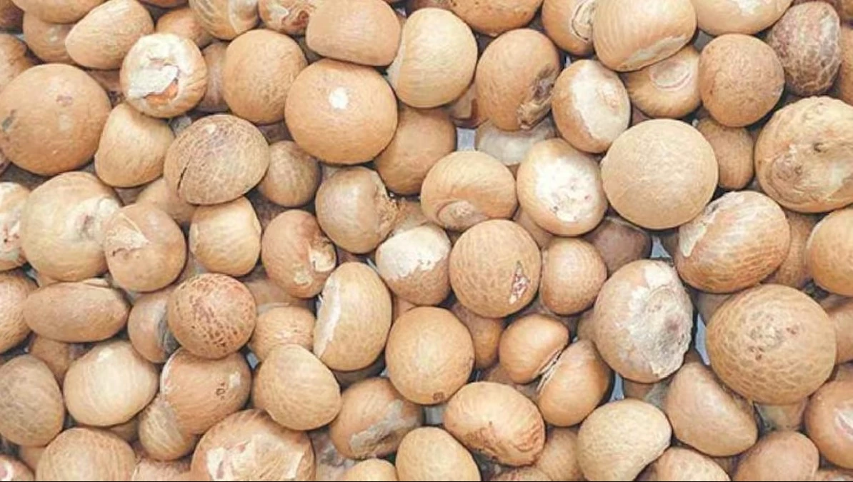 12 mt of smuggled Arena Nuts, Chinese salt seized in Balochistan