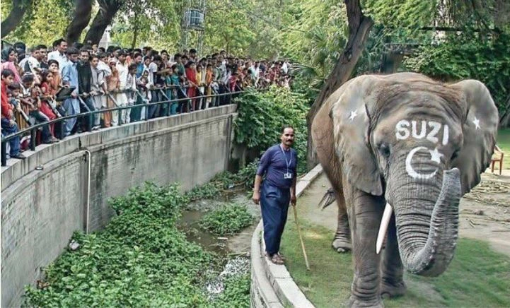 Lahore Zoo shut down for 3-month upgradation