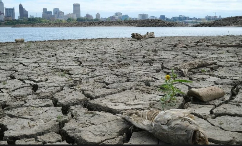 Hottest October globally marks fifth record-shattering month