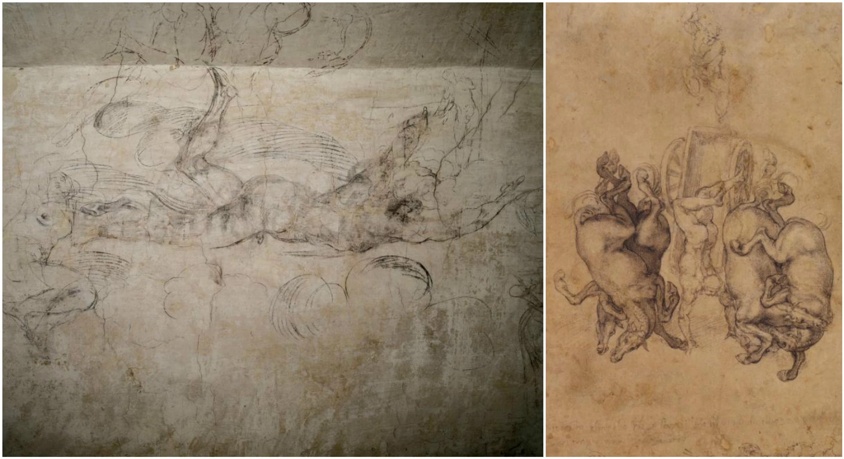 Michelangelo's 'secret' sketches open to public