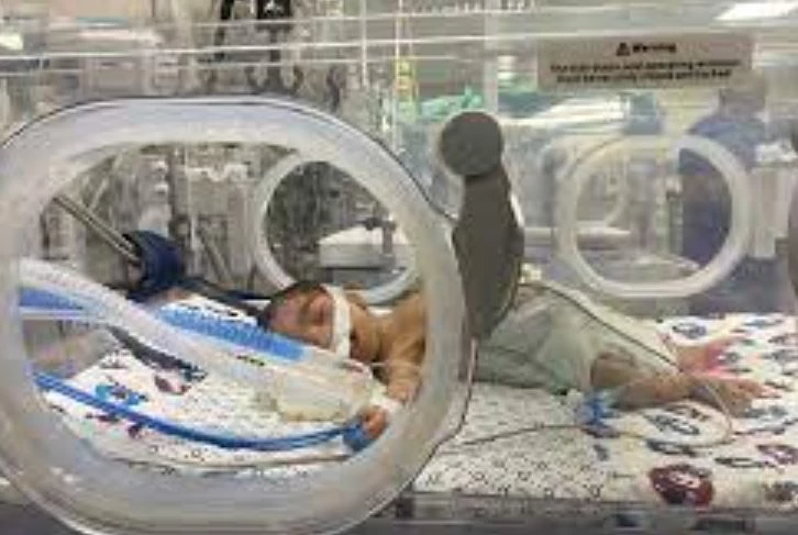 Two premature babies die at Gaza hospital