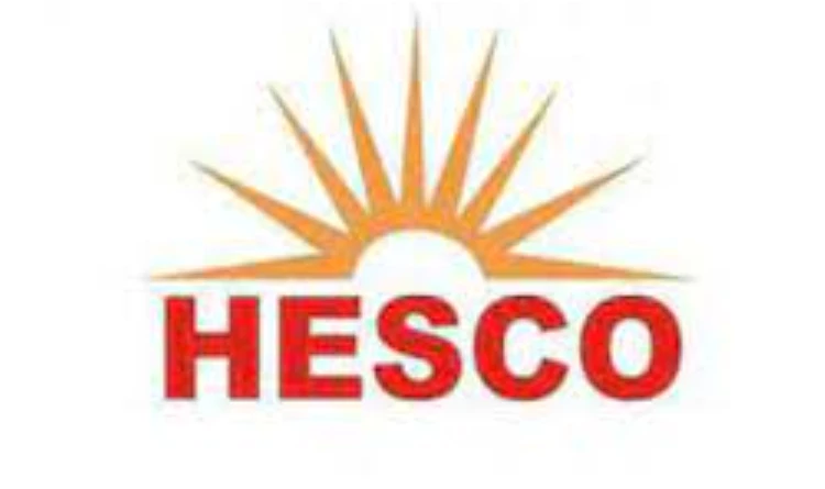 Hesco CEO removed for poor performance in operation against power pilferage