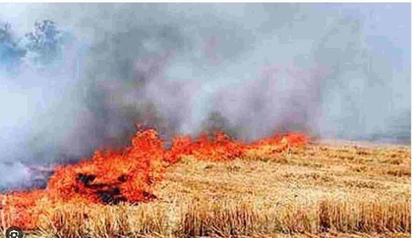 Farmers in Narowal burn crops’ residues with impunity