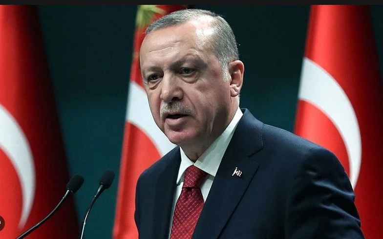 Erdogan on 'difficult' German visit after Israel outbursts