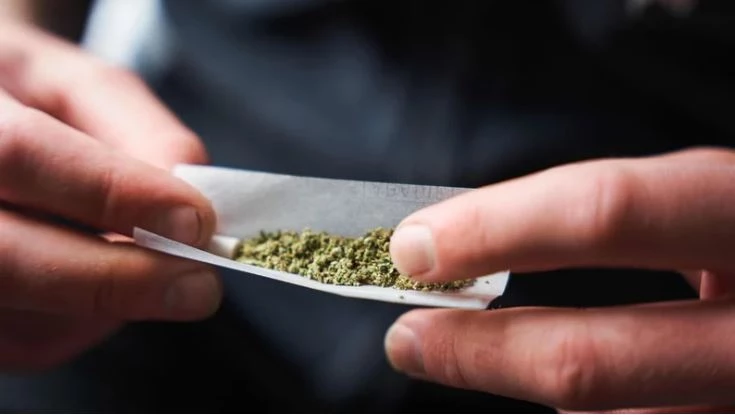 Pot products 'more potent, diverse' says Europol