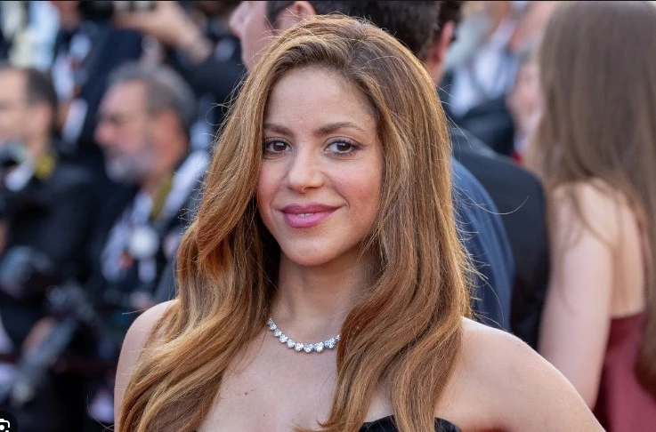 Shakira in the dock in Spanish tax fraud case