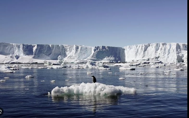 UN chief to observe 'impact of climate crisis' in Antarctica