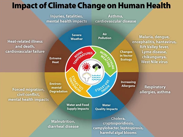 Heat, disease, air pollution: How climate change impacts health